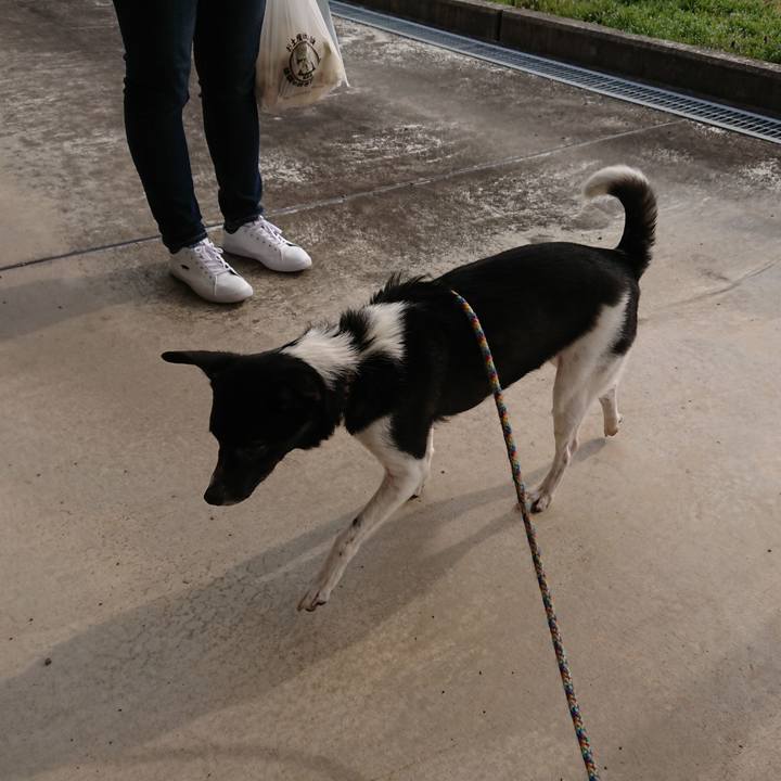 7a9fbb90 e023 4760 8712 17aae3449636 1553696907696