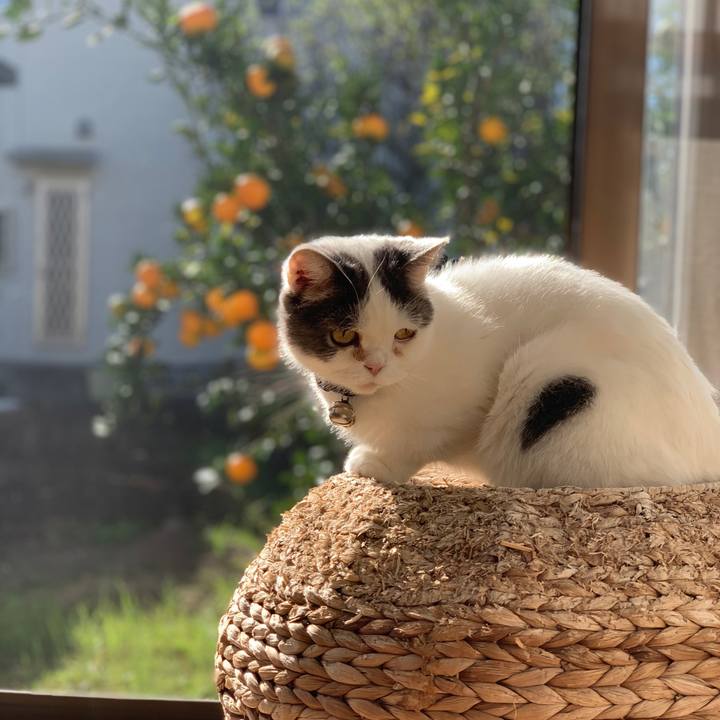 7a9fbfee 6b7a 4174 8b13 331c32e60106 1731026521522