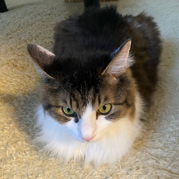 7a9fc7f8 e8e1 44fb b4c6 093c35abf429 1735340935268