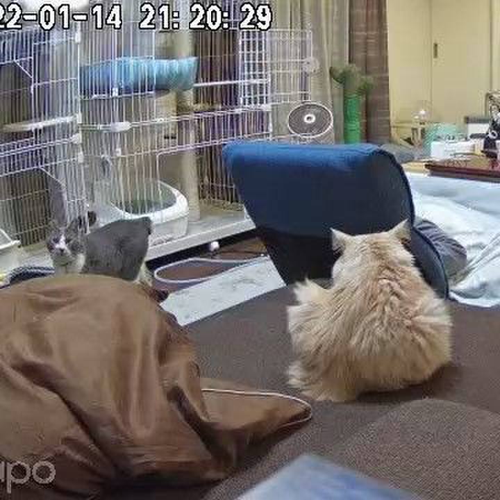 7a9fcb2e eb7c 4f92 b524 8952af27e218 1642162994387