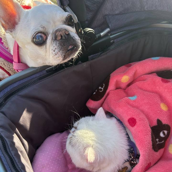 7a9fec52 109a 4354 aaec 92f6f8024370 1764474794548