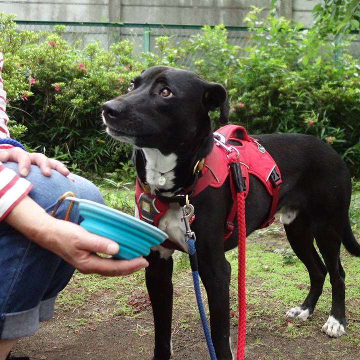 7a9ff9cb e87e 480d b09f a489622c9103 1589763195848