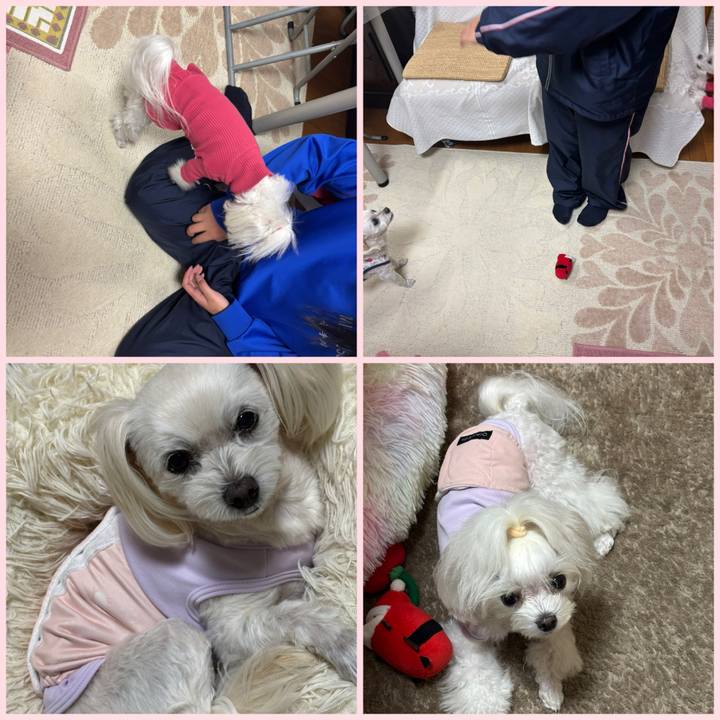 7aa00f8d ef64 43d5 ad26 c31b08f353fa 1764755292901