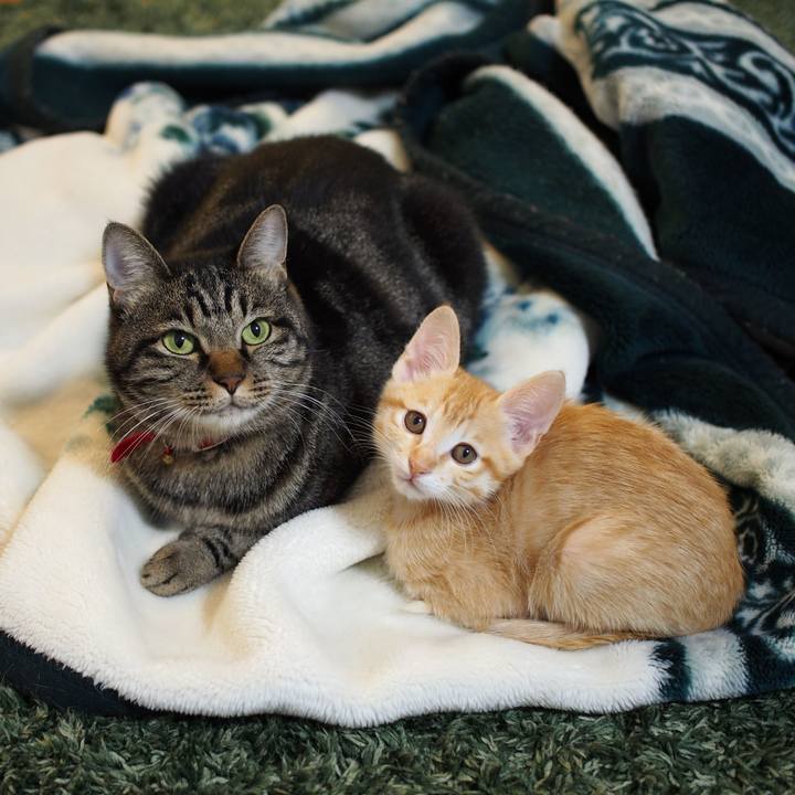 7aa01701 8dcf 4b65 bbe5 a226a4139c2a 1572088858915