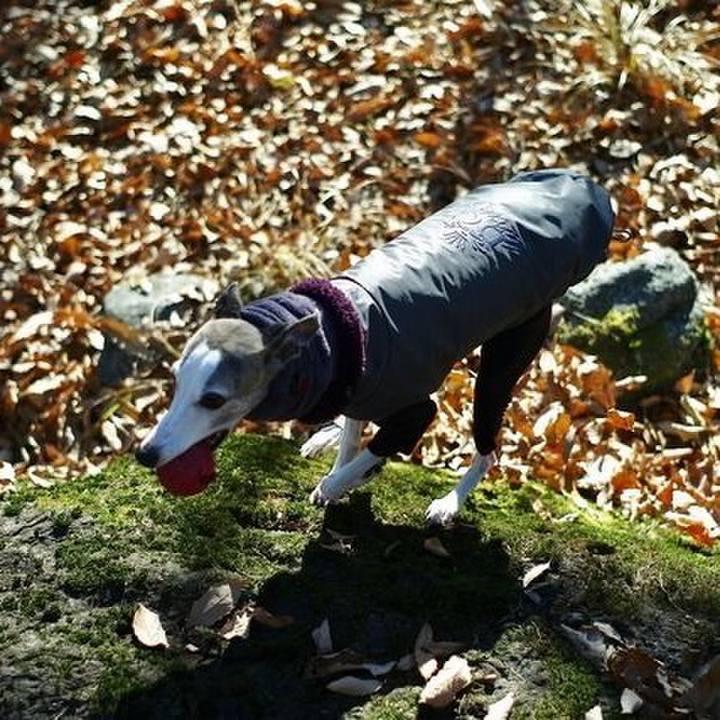 7aa01c5f 3c61 4a49 bc49 0291464dad6d 1514557398551