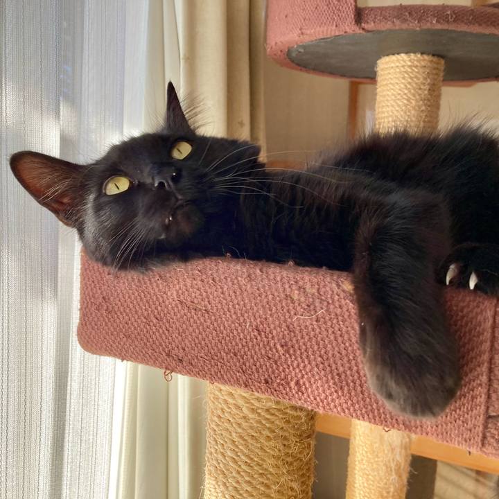 7aa03976 5836 4a6a b4d9 b1aab1d6cf1d 1737549206115