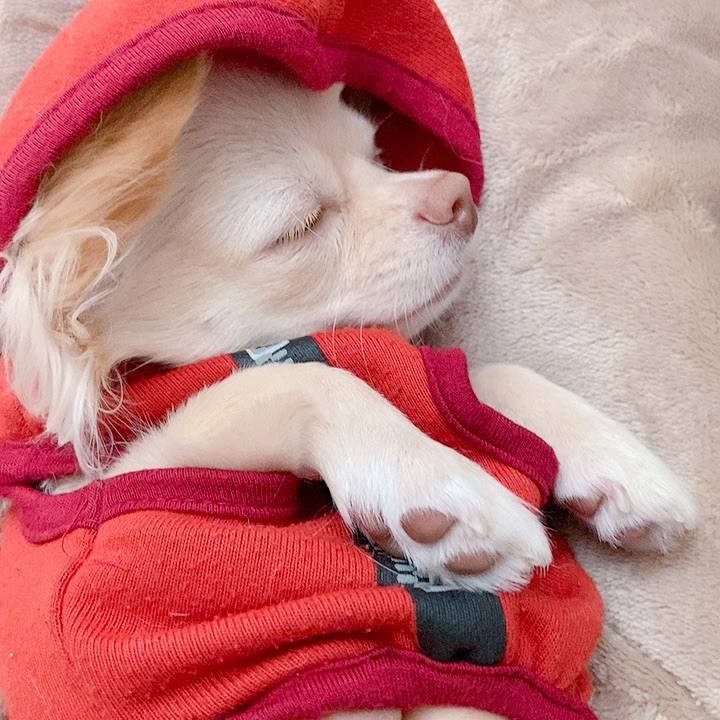 7aa07f01 61b4 48ba a89c 82a19612fb73 1607848030143