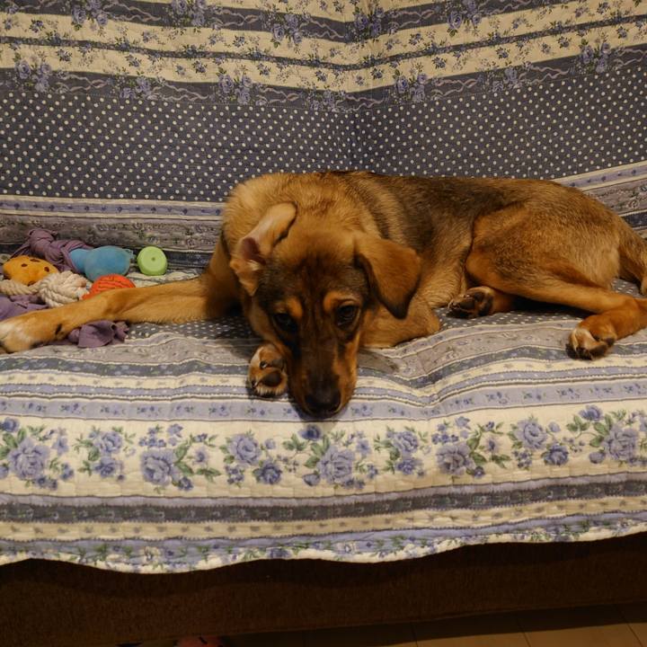 7aa0c4f1 119e 4875 8bfd c99384ad5ce3 1687357885899