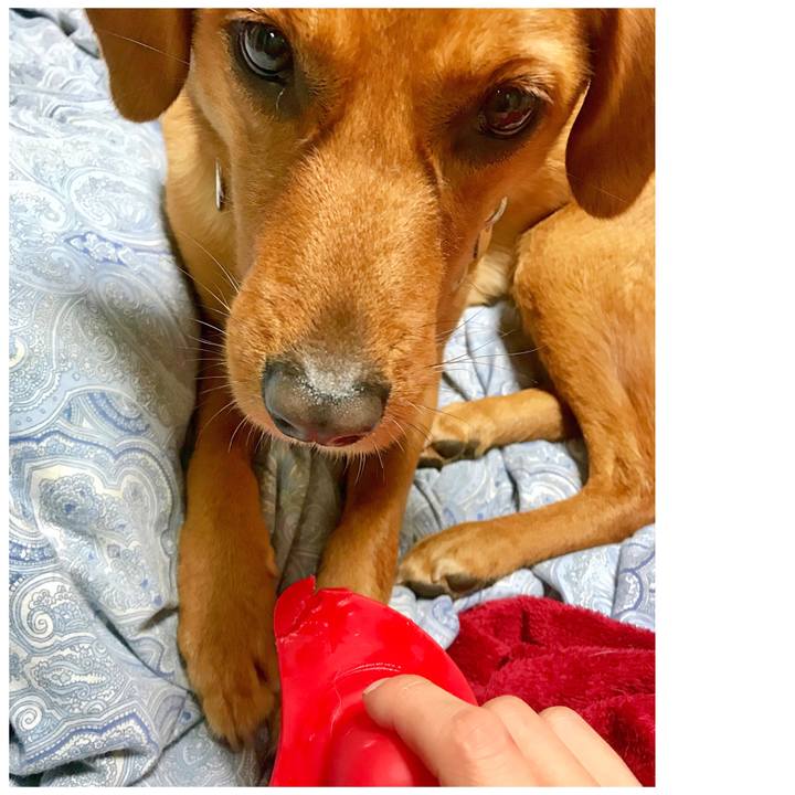 7aa0cef4 4335 40cc 838d a5037531608d 1524483500958