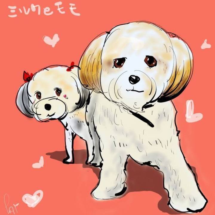 7aa11256 ac40 41f0 850b 64599f2c086d 1647060087047