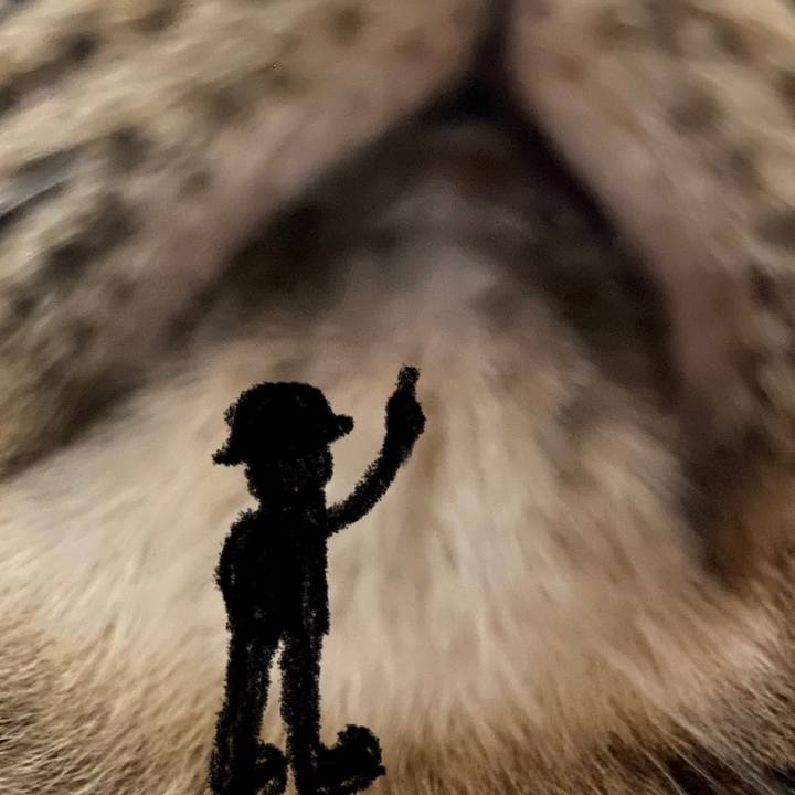 7aa12a58 2082 4ed7 b882 6e57cae1e467 1688299126970