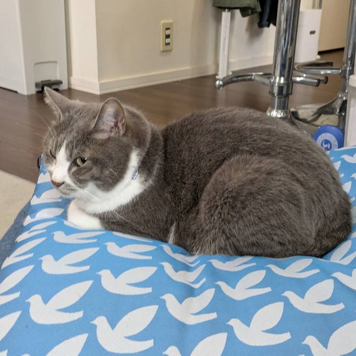 7aa12b5d c2b6 4fa4 a4a8 da17a1e98aef 1748145042485