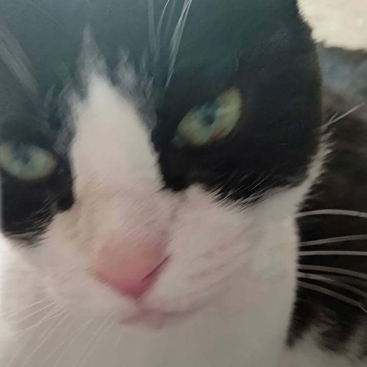 7aa14759 abd8 4ecf a36e e22519c8509a 1649481190163