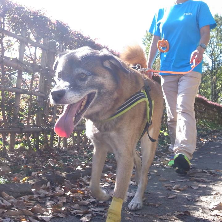 7aa150ad d9b7 45eb 8176 455a2224af38 1592649205353