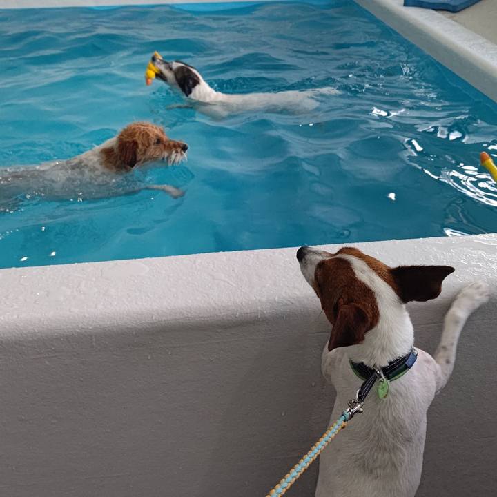 7aa15d09 2783 4512 8775 68e1778c2cd2 1686224538339