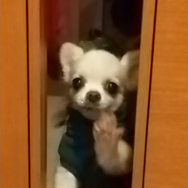 7aa1a642 16e0 4c9a 82dc 3cdc888e481e 1575986353081