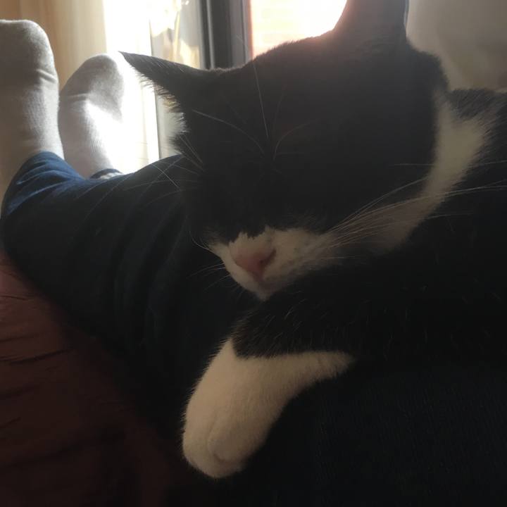 7aa1bc4b c3df 4a8f 83ee 6defe15f3628 1553222191677