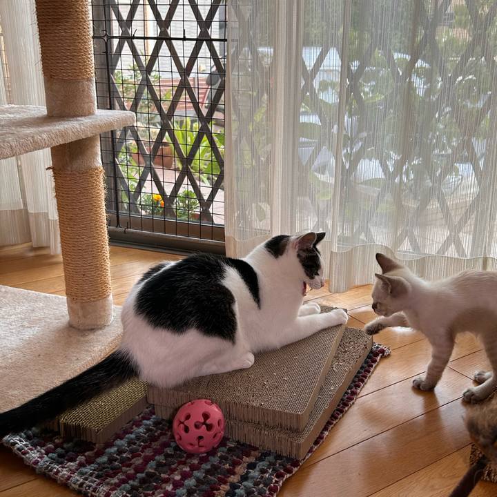 7aa1c814 fb9a 46c4 8b0f b8a915b98b1d 1721625113471