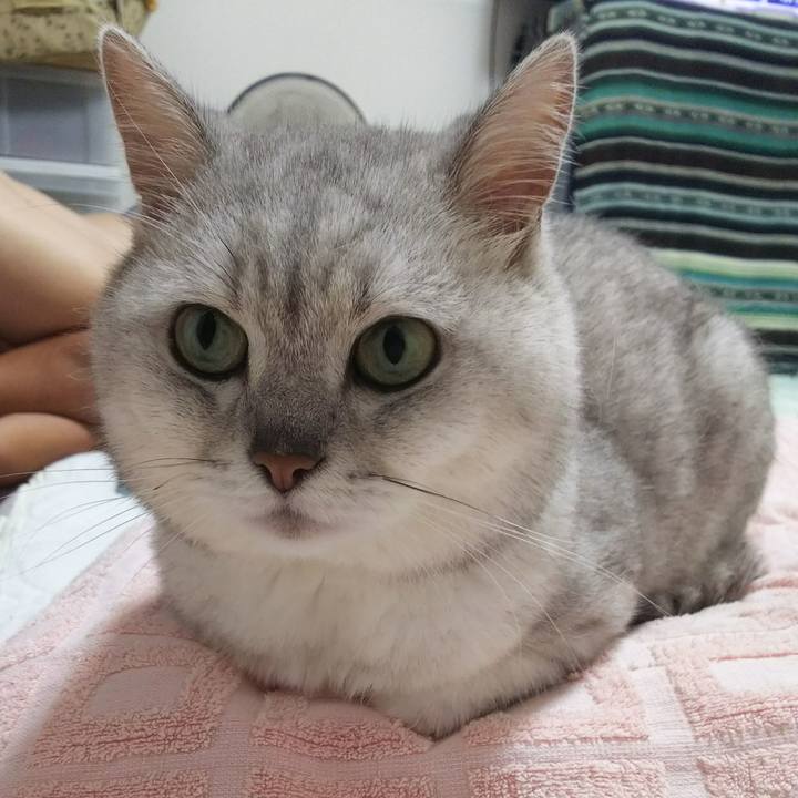 7aa1f29d c36c 4dfb 87ee 0e20e1064421 1529330466065