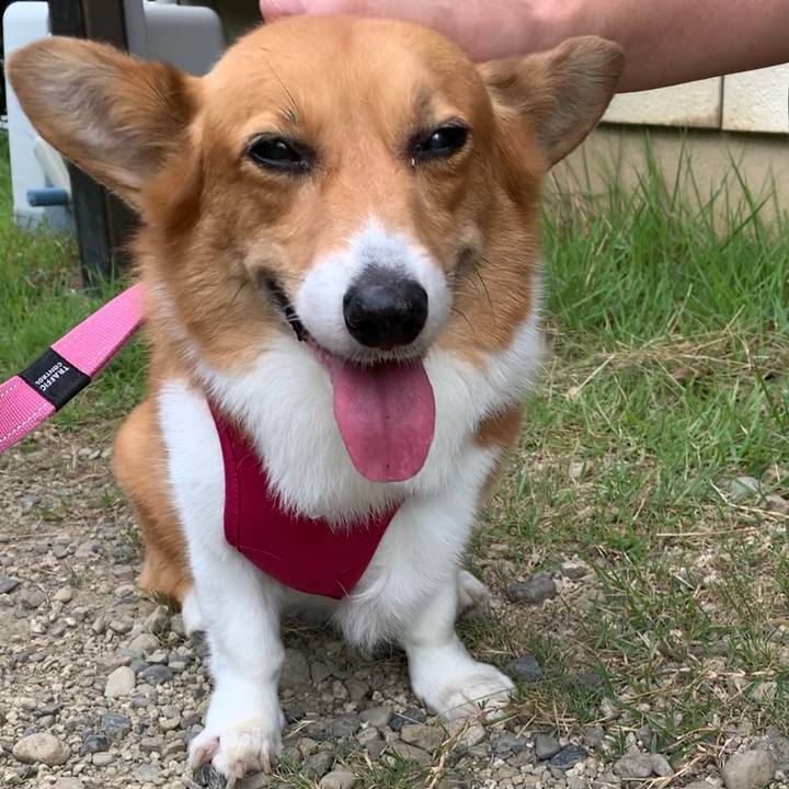 7aa2035a 6977 426b a667 815266146647 1662339923879