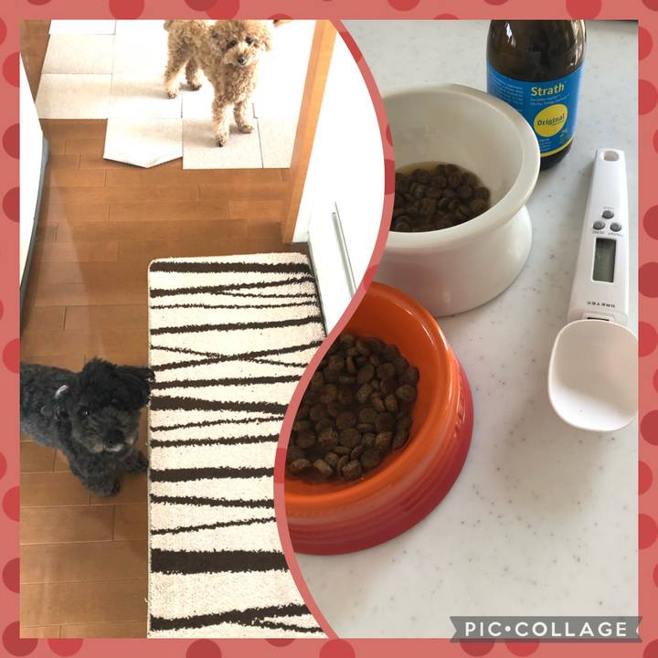 7aa21a47 4565 4ade ae1a 4ad4424f39aa 1615968984953