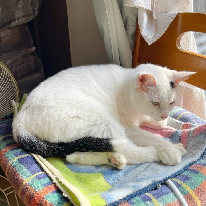 7aa25da3 7b80 42de bef6 7fa9ec6b5f0b 1764986289550