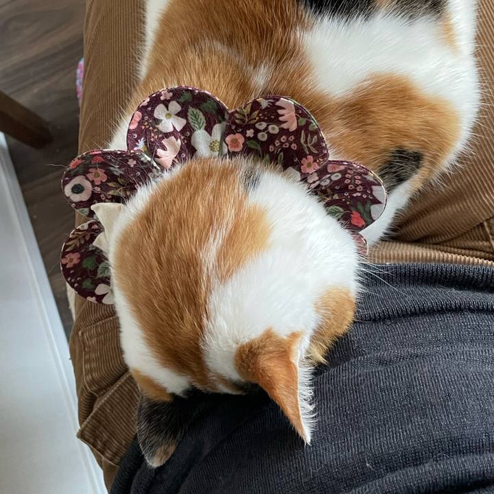 7aa28c57 c23b 4991 ab87 285588a2caa5 1736040168441