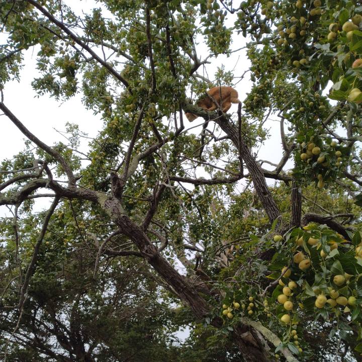 7aa2b6df 62a8 49a1 911f bc1e5769940b 1694993102654