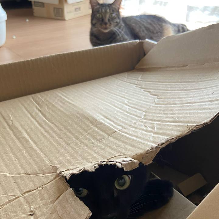 7aa2eef0 c981 4f73 83b0 16625319af34 1693713686426