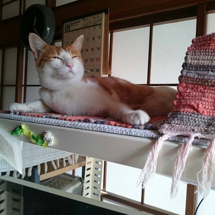 7aa2f70c 35b0 4b20 a2e2 d6c1ec242f18 1513482803863