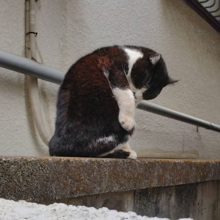 7aa33c67 a4c4 4316 8a47 ed934e28c524 1708155684063