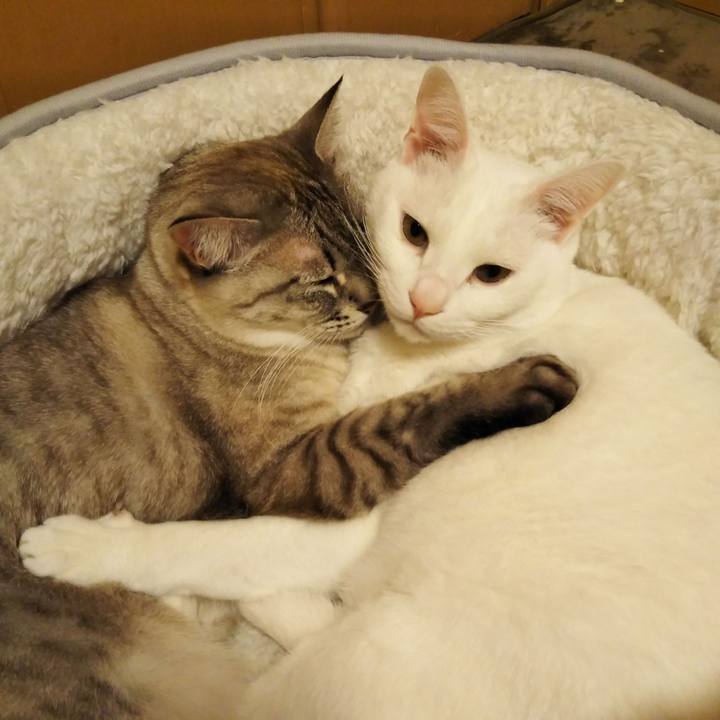 7aa350d7 3aae 420d a36b 0f8518eae0c1 1612540190319