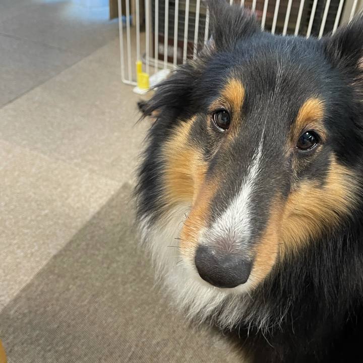 7aa389bd d661 42eb 8b92 28bd8a532c19 1609972504347