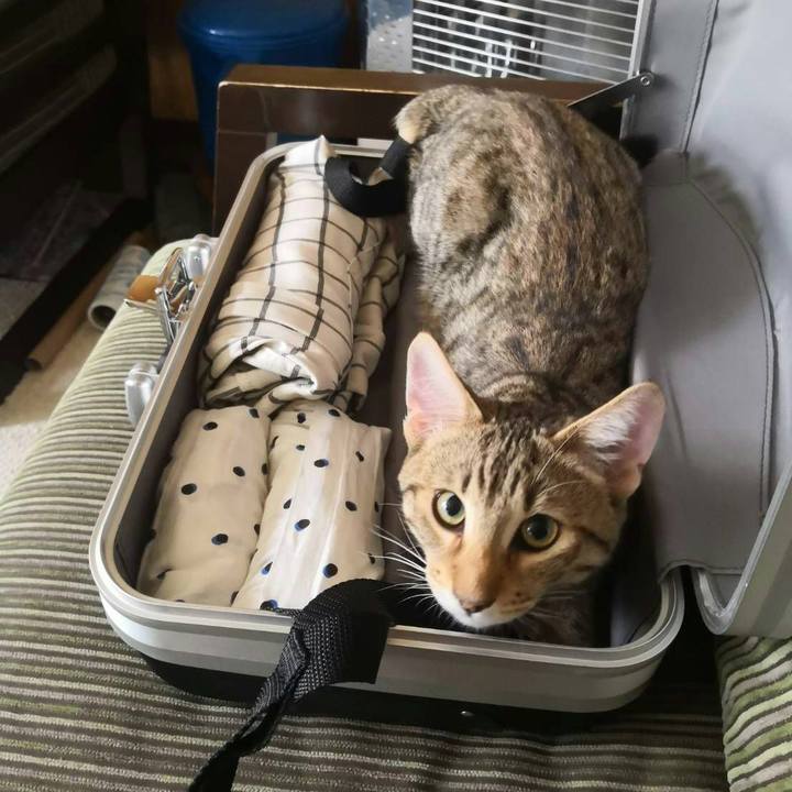 7aa38c11 dcd3 4c1e acf8 e3fa3883c5cb 1568357485478