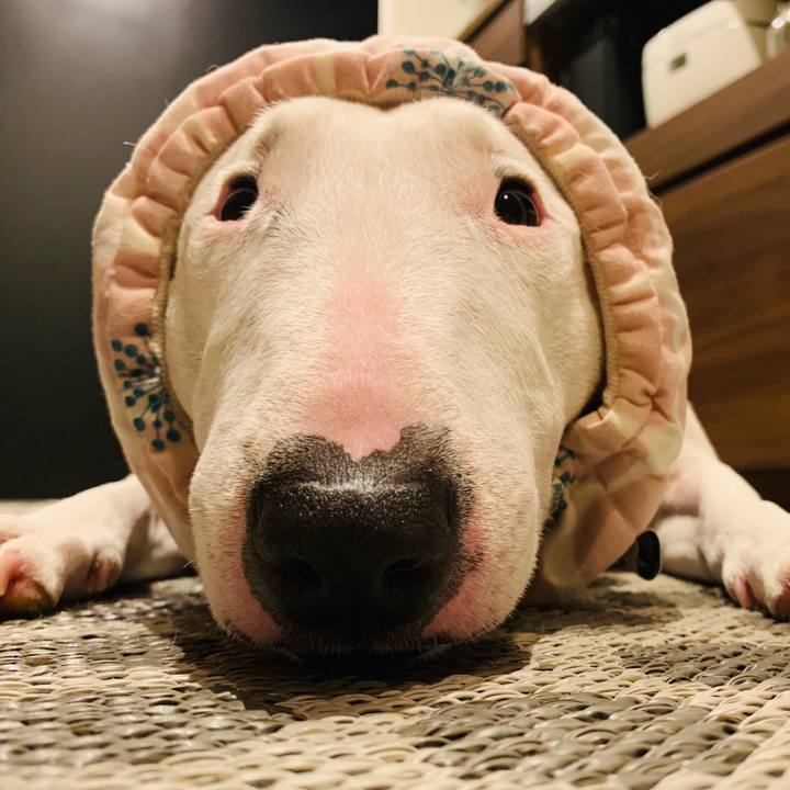 7aa3a9de 6ecc 453f b19a f9bca4e0d27c 1592361272658