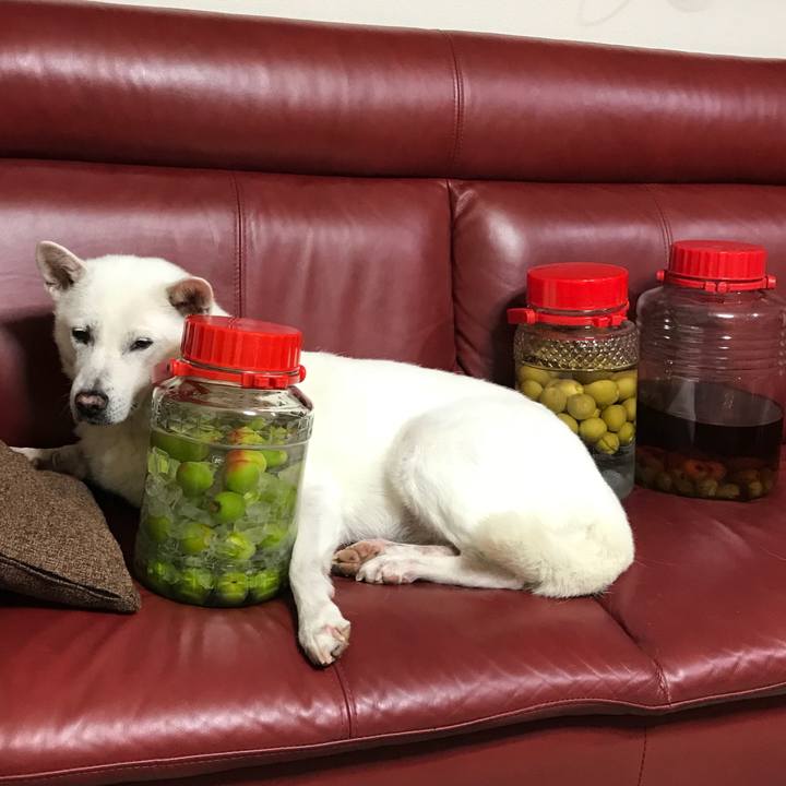 7aa3c87c b1aa 4500 a926 944b32cc4277 1529759971588