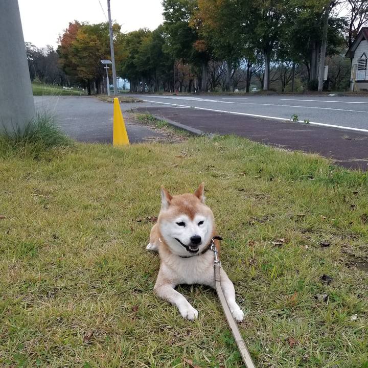 7aa3d8a6 b117 4107 8158 b2e39aaa2044 1665905232490