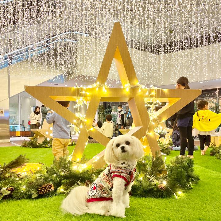 7aa3f77f cfee 4488 baf4 11585c788e76 1636878892487