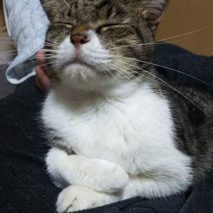 7aa3f821 9fe1 4082 8feb 9be62891a37a 1543688410565