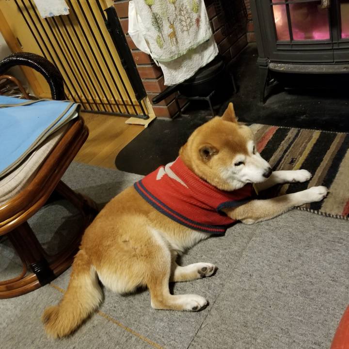 7aa3fc53 ba93 4772 8b78 7f22a19e1543 1610099183473