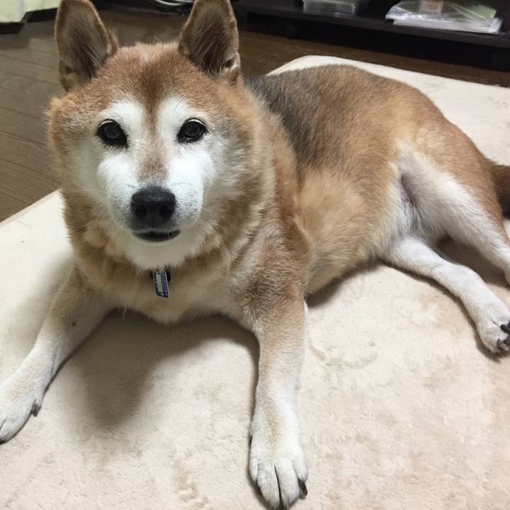 7aa4233d 1b4c 4097 b10d 0c54119d1a61 1534599934801