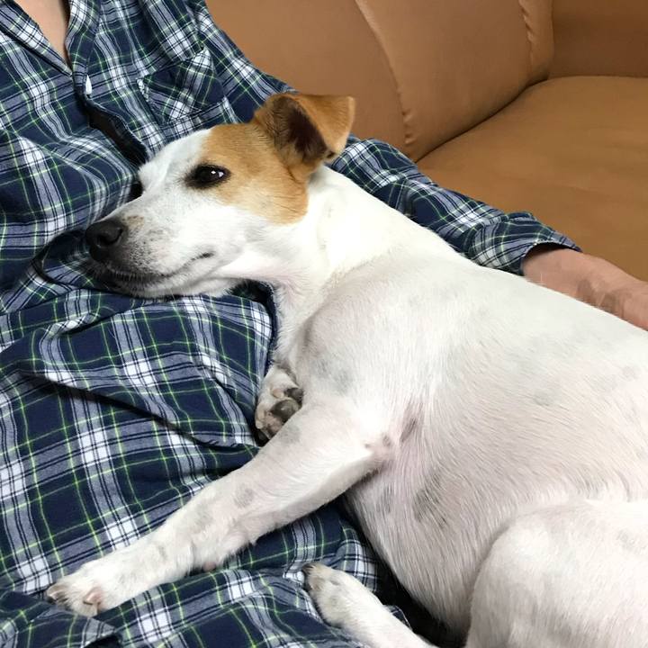 7aa4241d d84c 4ff2 a57a f7e9fd546c47 1602074823920