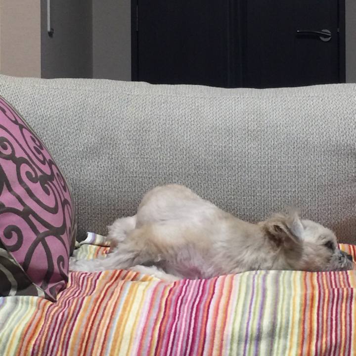 7aa43c9d 93ca 4ecf 9b47 21e1eed73b63 1541937103275