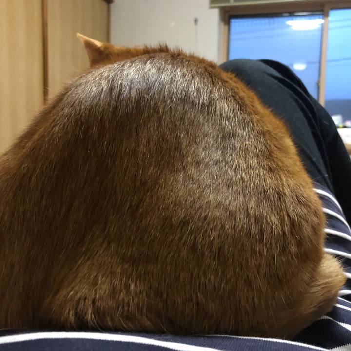 7aa4452e 7989 45d6 8173 e562e217336f 1713605587183