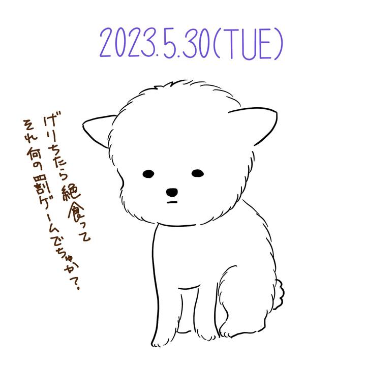 7aa47d2b 1900 44b3 9cee 32aec3315cd2 1685447651311