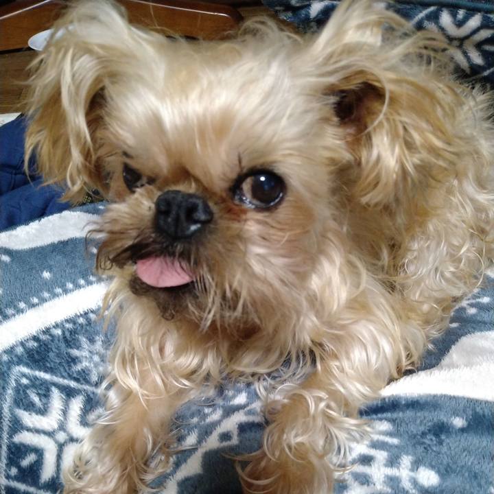 7aa4a140 7865 4e31 980a f72267095422 1611876756073