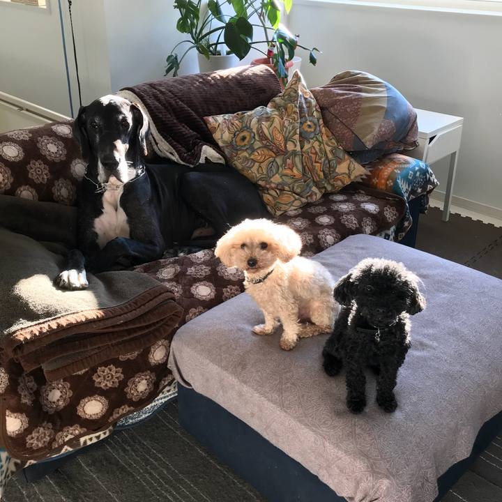 7aa4d825 21a8 4c48 adcf 52aaf21cfaca 1514156461520