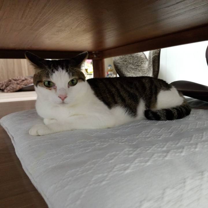 7aa4de5d af22 4b41 978b a088ea800d2f 1578346986936