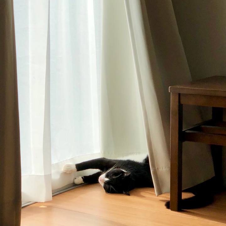 7aa4fc89 009a 4e3c 95d3 7084b0e4fd90 1538879044939