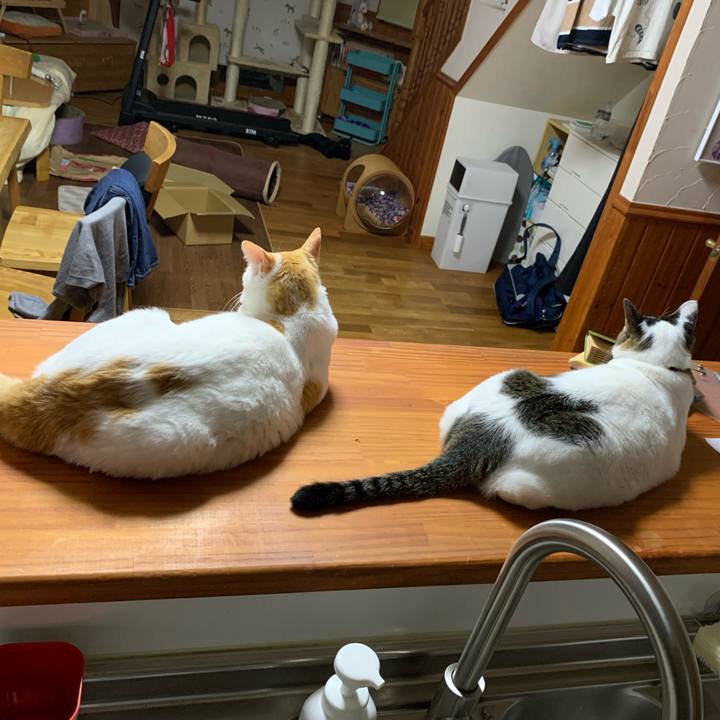 7aa5721e 202c 4ab2 a9fe f8fd34f671fe 1633958983811